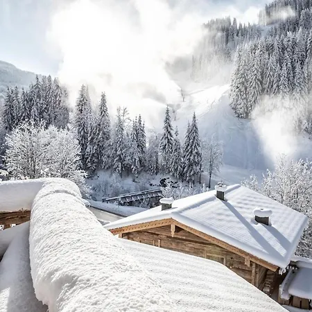 Pool Luxury Lodge